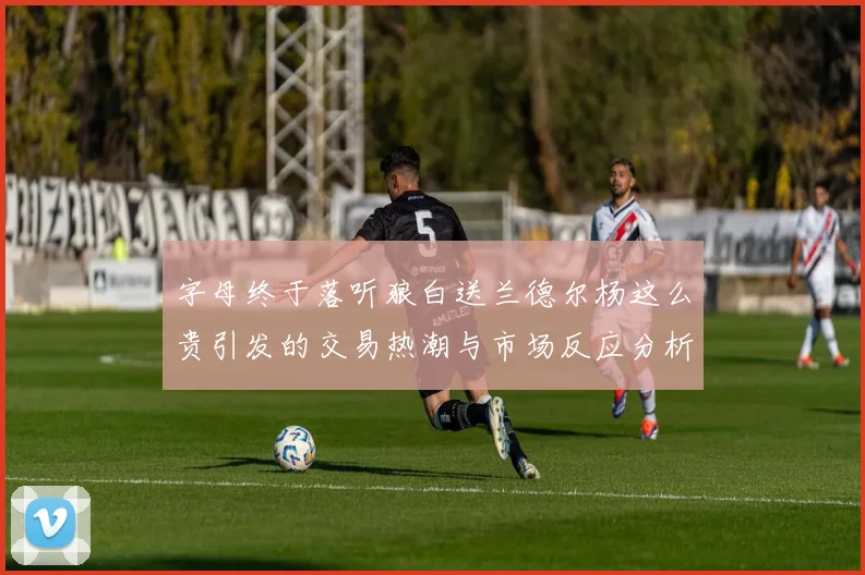 字母终于落听狼白送兰德尔杨这么贵引发的交易热潮与市场反应分析